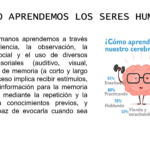 da176873-f0fb-495e-a87b-cb1b45c51359-0