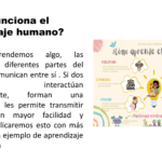 da176873-f0fb-495e-a87b-cb1b45c51359-1