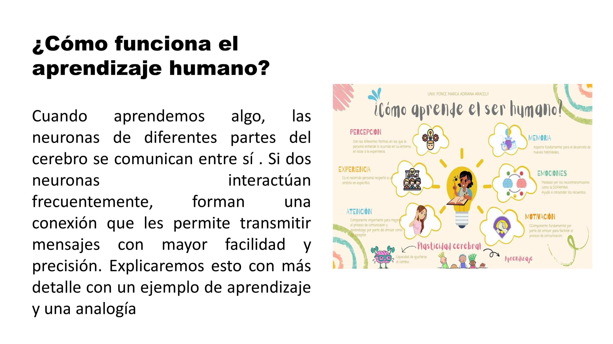 da176873-f0fb-495e-a87b-cb1b45c51359-1