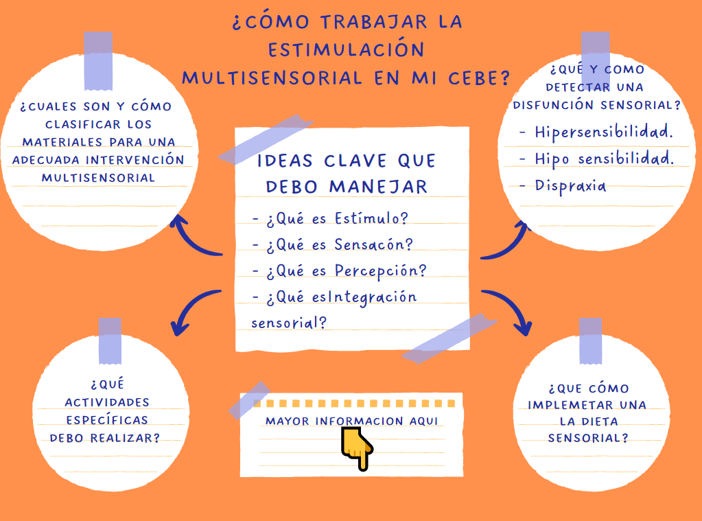 ESTIMULACIPON MULTISENSORIAL