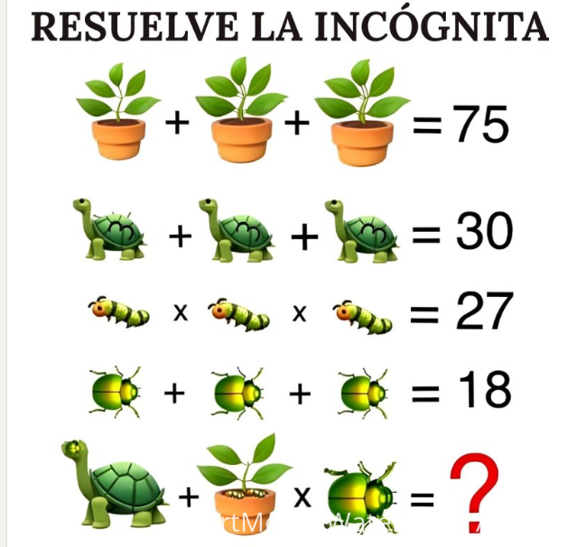 razonamiento - imagen1